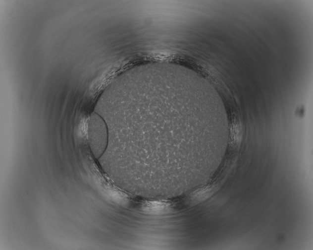 X0000112000286200908171426