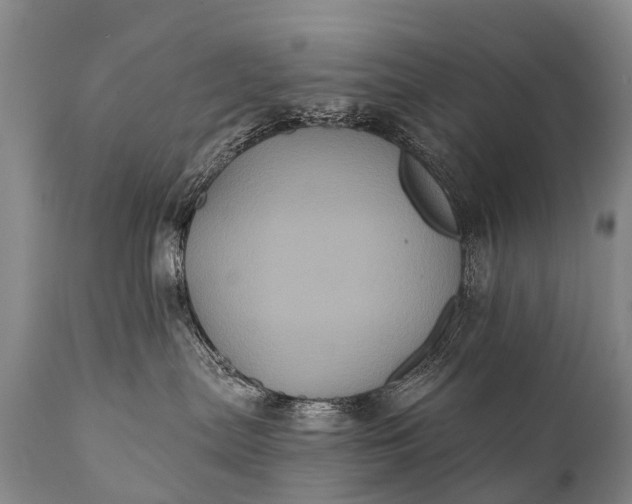 X0000112000287200908171426