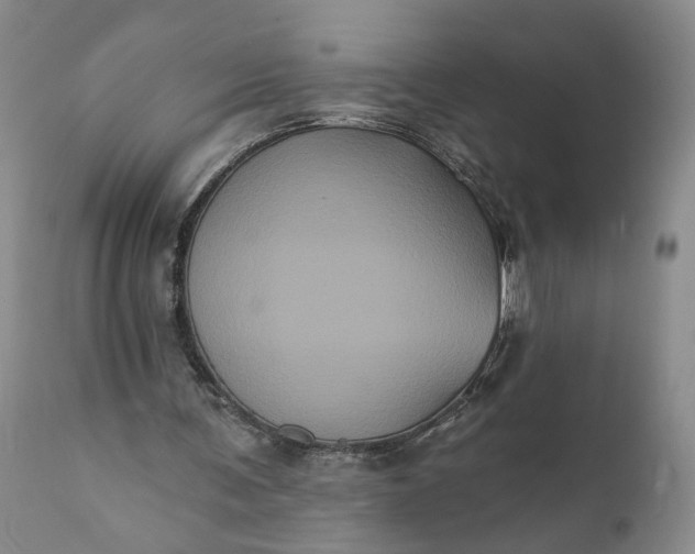 X0000112000291200908171426