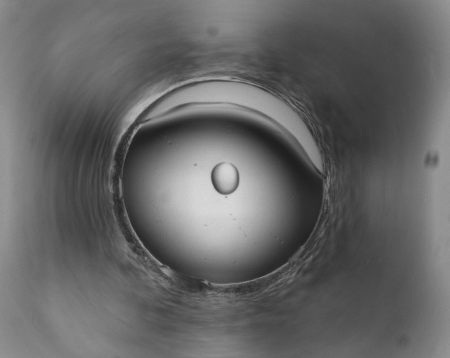 X0000112000292200908171426