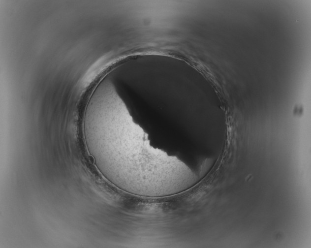 X0000112000295200908171426