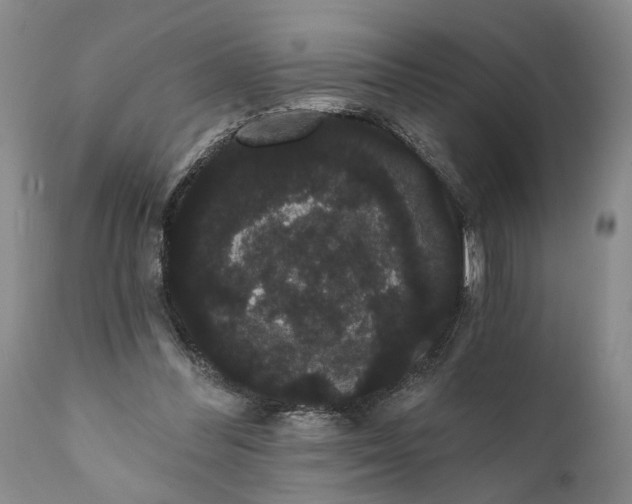 X0000112000300200908171426