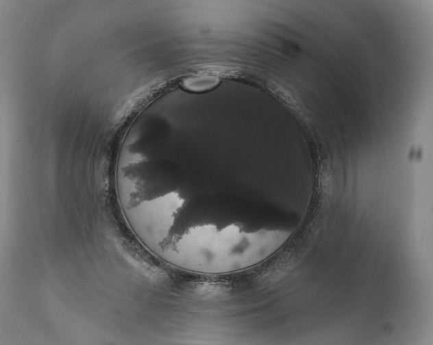 X0000112000303200908171426