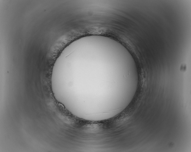 X0000112000307200908171425