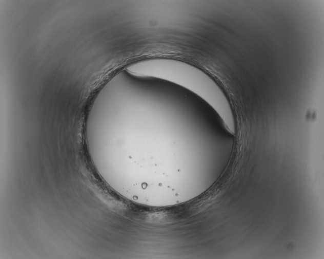 X0000112000309200908171425