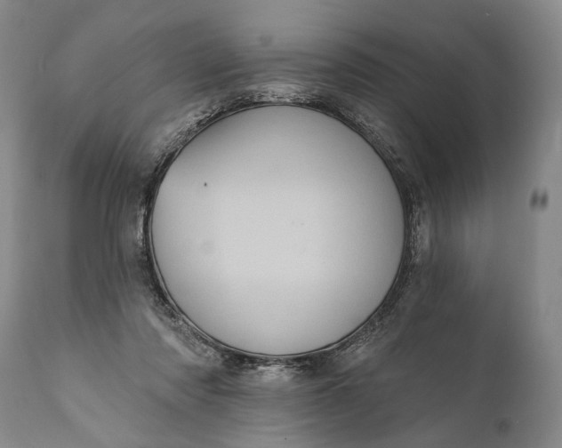 X0000112000310200908171425