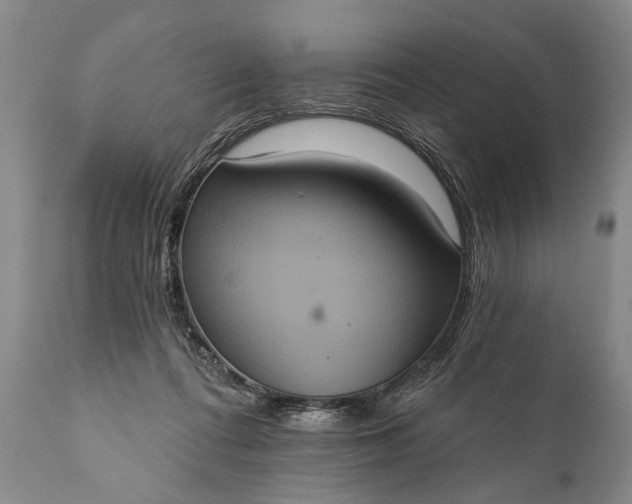 X0000112000312200908171425