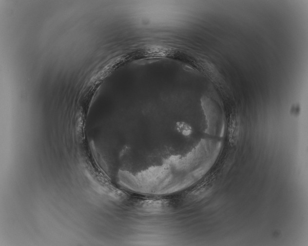 X0000112000314200908171425