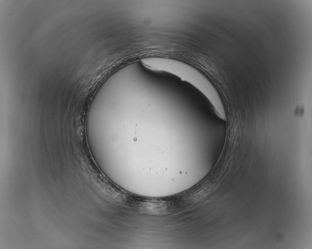 X0000112000317200908171425