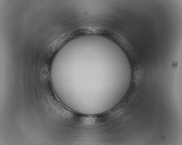 X0000112000318200908171425