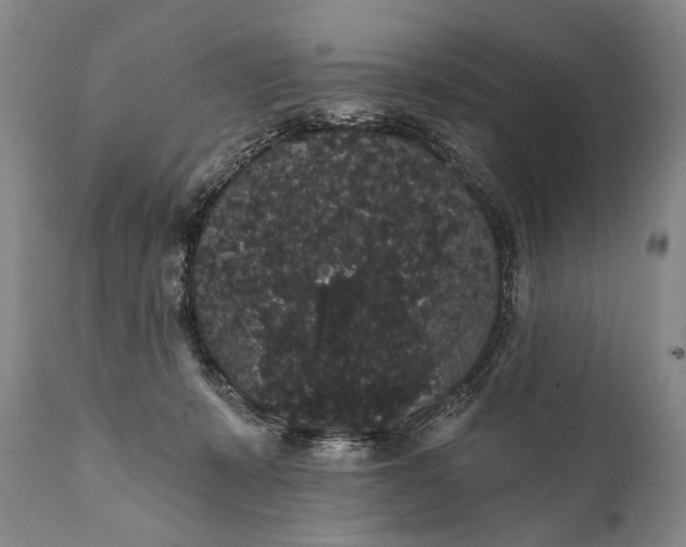 X0000112000319200908171425