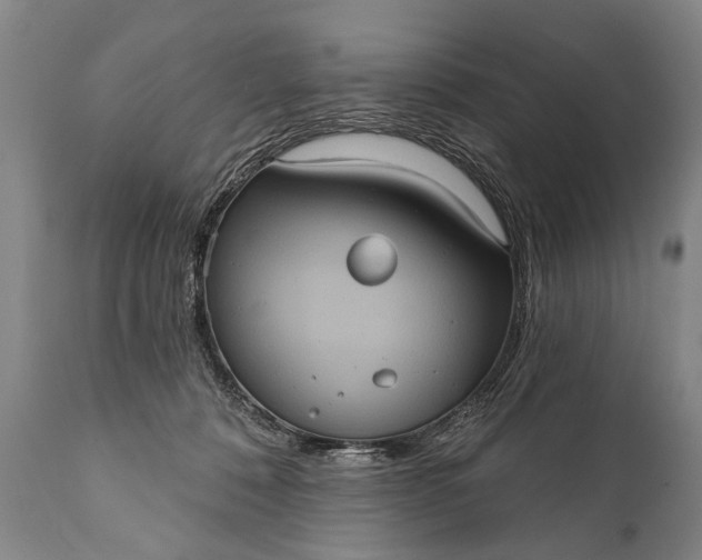 X0000112000320200908171425