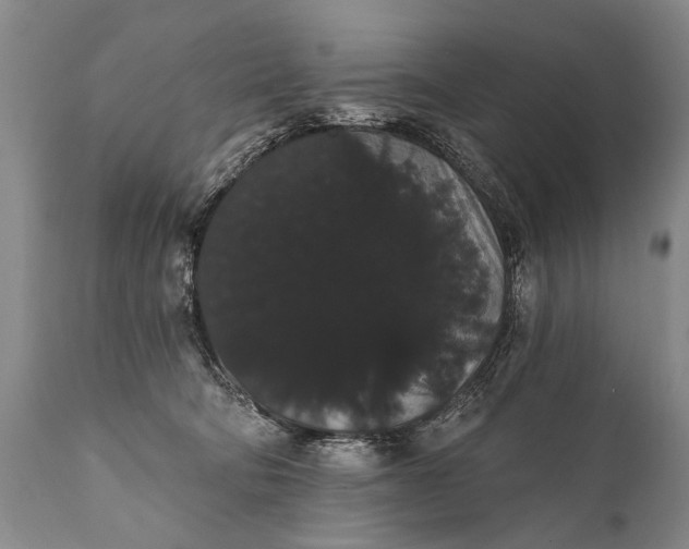 X0000112000322200908171425