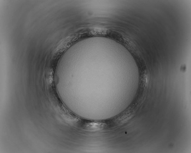 X0000112000323200908171425