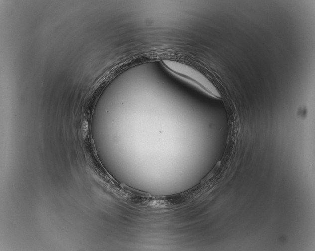 X0000112000324200908171425