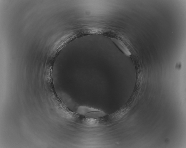 X0000112000325200908171425