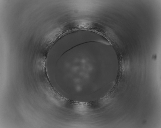 X0000112000328200908171425