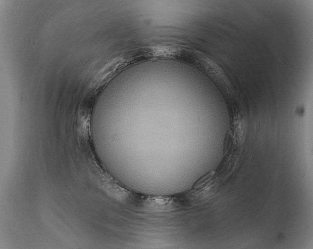 X0000112000329200908171425