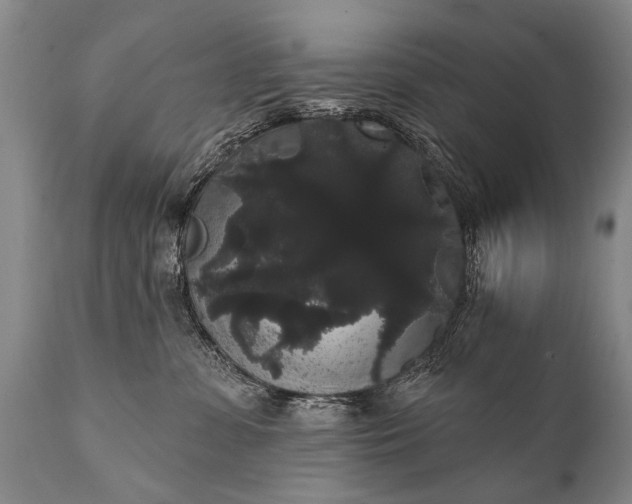 X0000112000331200908171425