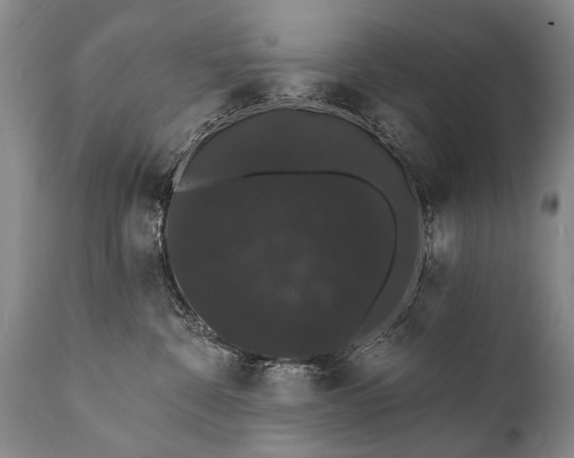 X0000112000332200908171425