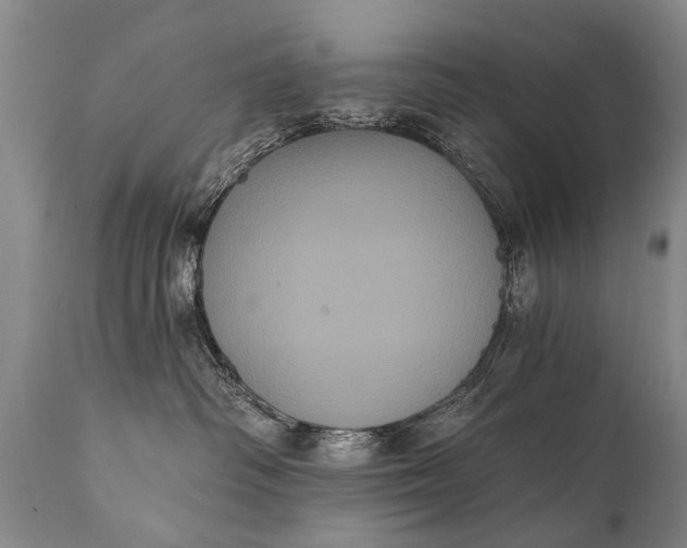 X0000112000334200908171425