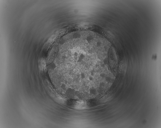 X0000112000335200908171425