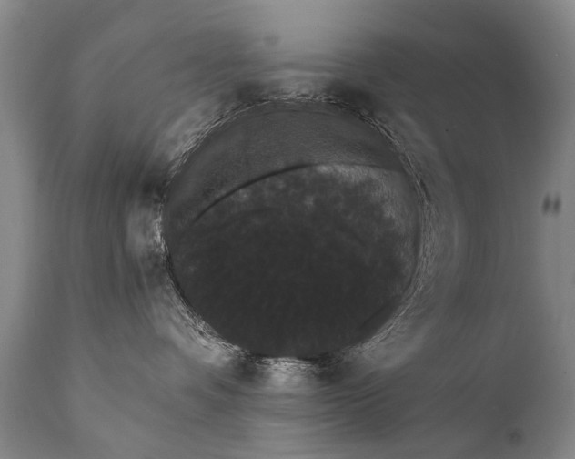 X0000112000336200908171425