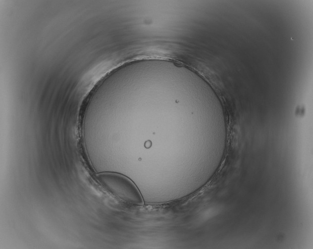 X0000112000338200908171424