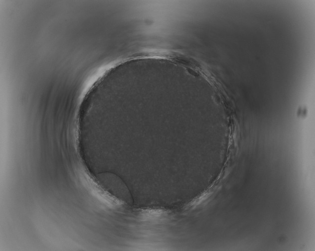 X0000112000342200908171424