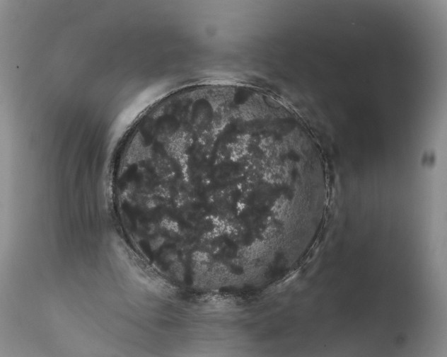 X0000112000343200908171424