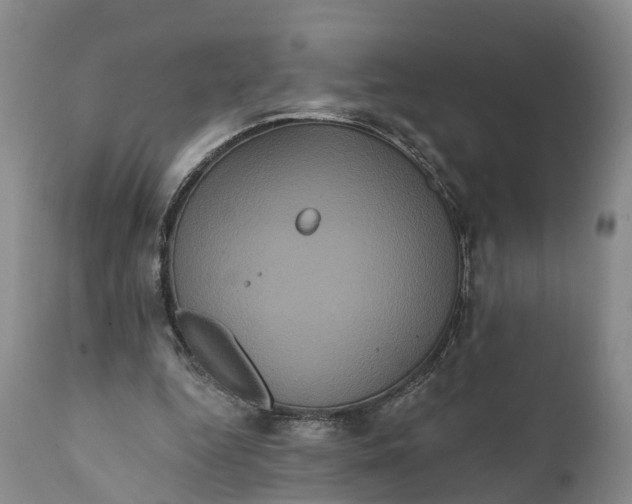 X0000112000344200908171425