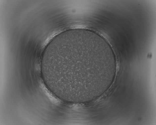 X0000112000345200908171425