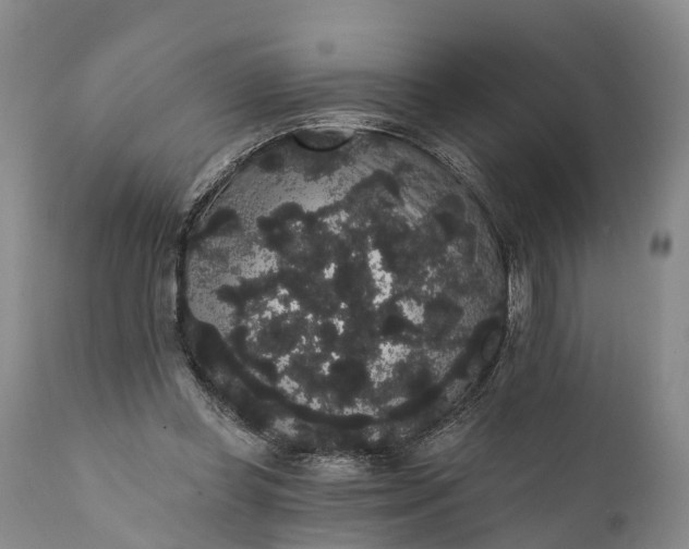 X0000112000349200908171425