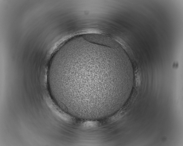 X0000112000350200908171425