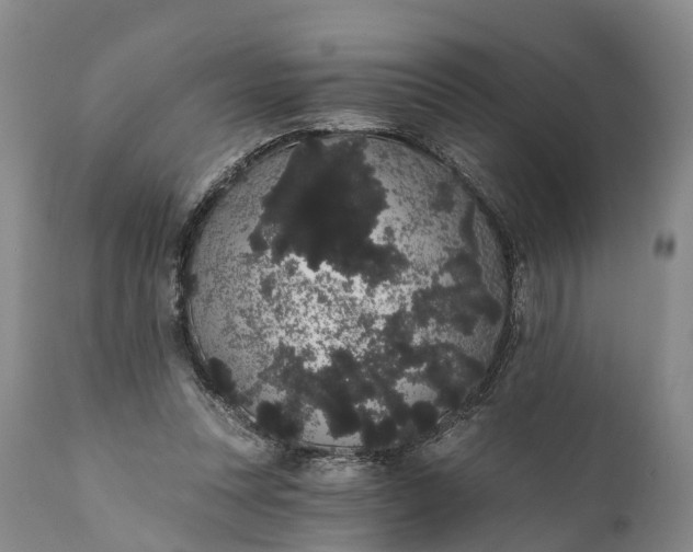 X0000112000351200908171425