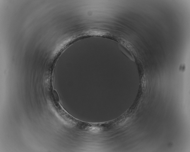 X0000112000352200908171425