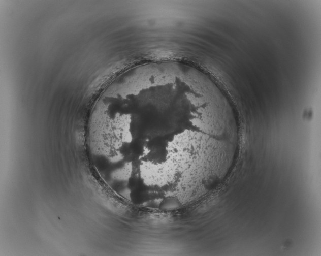 X0000112000353200908171425