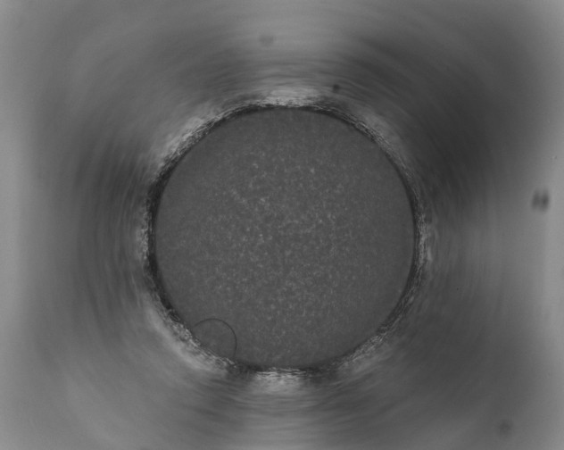 X0000112000354200908171425