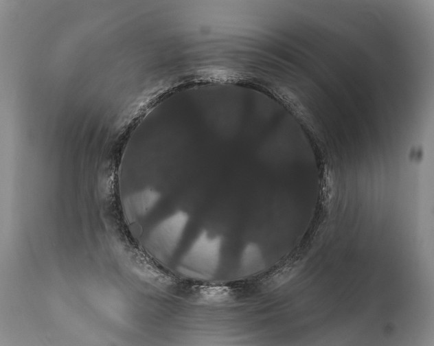 X0000112000355200908171425