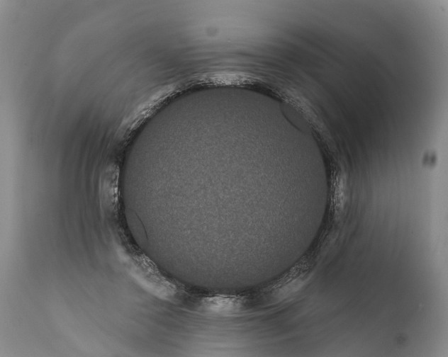 X0000112000356200908171425