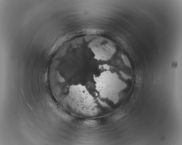 X0000112000357200908171425