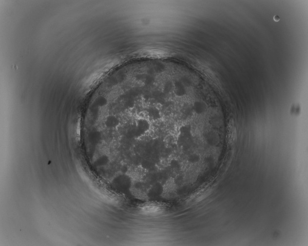 X0000112000358200908171425