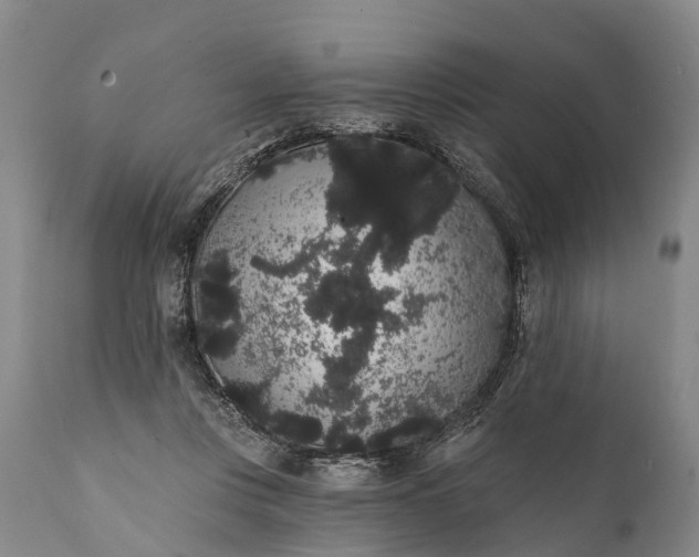 X0000112000359200908171425