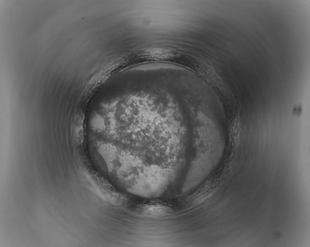 X0000112000360200908171425