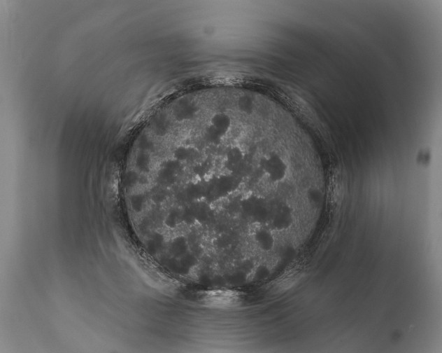 X0000112000363200908171425