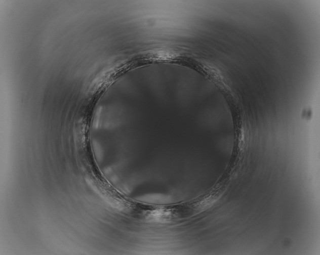 X0000112000366200908171425