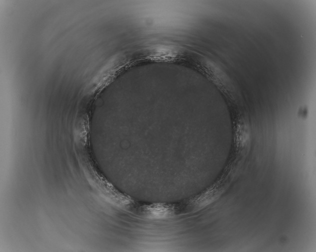 X0000112000370200908171425