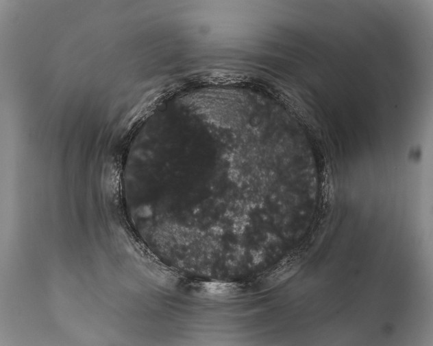 X0000112000371200908171425