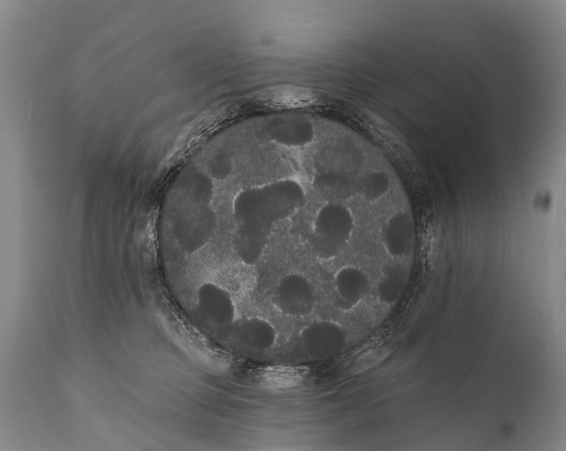 X0000112000373200908171425