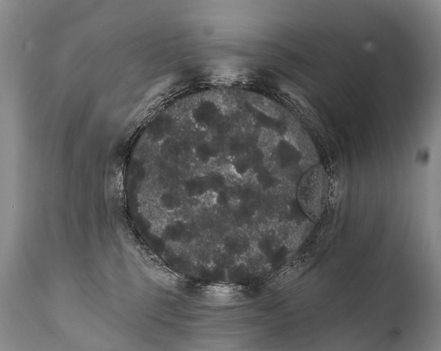 X0000112000375200908171425